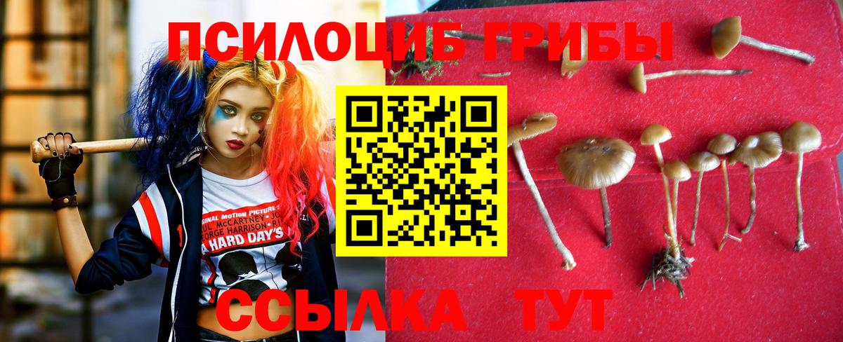 Галлюциногенные грибы Cubensis  где найти   Коркино  Вход с VPN 